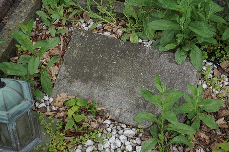 Bad Godesberg